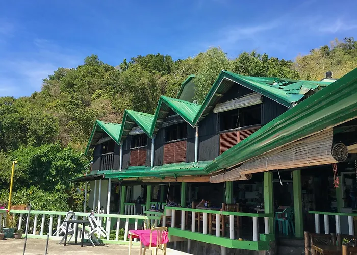 Liberty'S Lodge And Diving - Apo Island